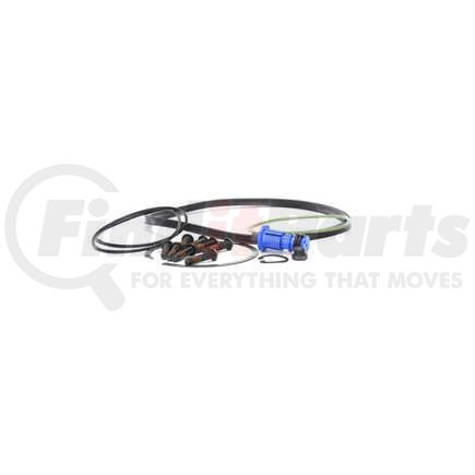 994346 by HORTON - Engine Cooling Fan Clutch Seal Kit -DM Advantage, Inc. O-Ring Lubricant, O-Ring Seal