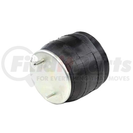 Firestone W013589105 Suspension Air Spring Kit AIRSPRING