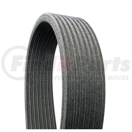 Continental AG D4080720 Serpentine Belt Automotive Multi-V Dual-Sided Belt