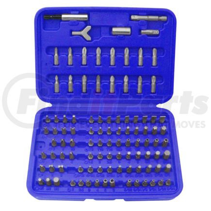 Astro Pneumatic 9448 100 pc. Security Bit Set