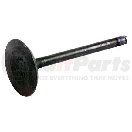 Beck Arnley 021-3295 Engine Intake Valve INTAKE VALVE