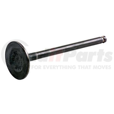 Beck Arnley 021-3404 EXHAUST VALVE
