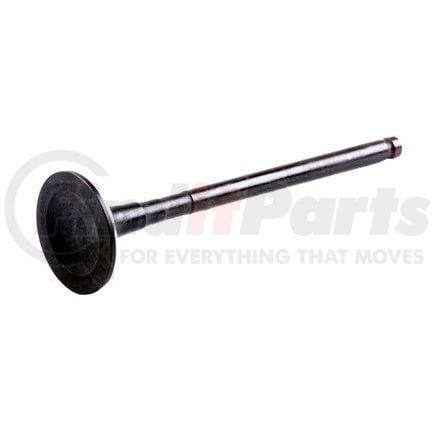 Beck Arnley 021-3438 Engine Exhaust Valve EXHAUST VALVE
