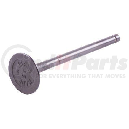 Beck Arnley 021-3479 EXHAUST VALVE