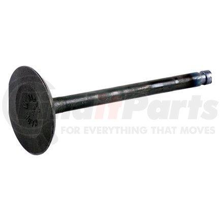 Beck Arnley 021-3193 Engine Intake Valve Engine Intake Valve