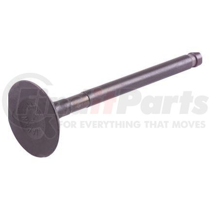 Beck Arnley 021-3195 Engine Exhaust Valve EXHAUST VALVE