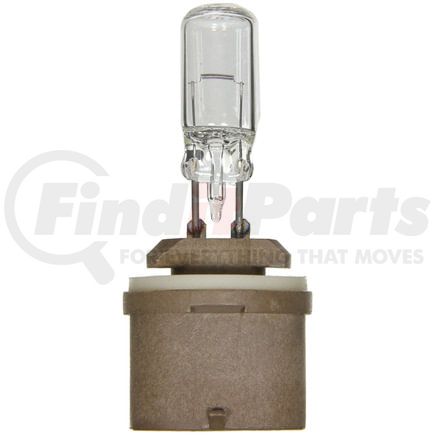 Wagner BP890 Multi-Purpose Light Bulb Wagner Lighting BP890 Standard Multi-Purpose Light Bulb Card of 1
