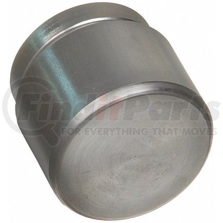 Wagner F100976 Brake Hydraulic Line CALIPER PISTON