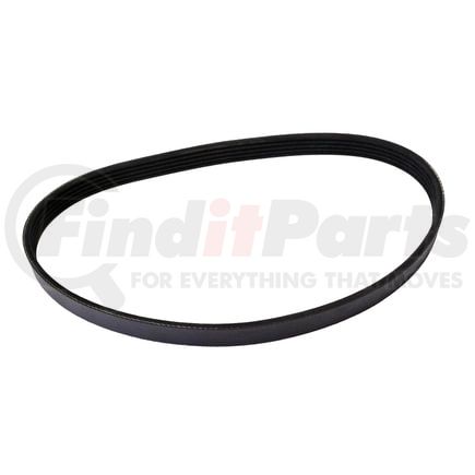 Continental AG 4050817 Serpentine Belt Automotive Multi-V Belt