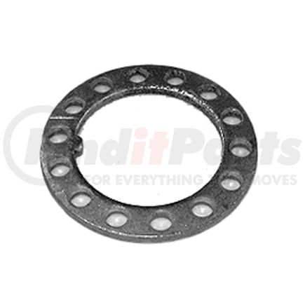 BWP-NSI WAW7 Multi-Purpose Washer SPINDLE LOCK WASHER