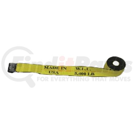 BWP-NSI M-4872 4"x27' Winch Strap