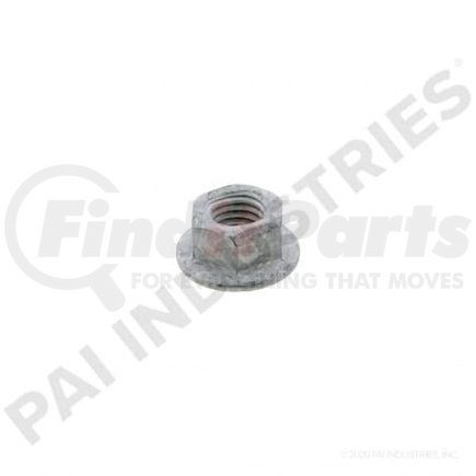 FNU-0403 by PAI - CH-MODEL M6 X 1.5THD HOOD NUT 191AM3