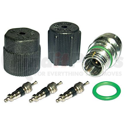 MT2901 by OMEGA ENVIRONMENTAL TECHNOLOGIES - CAP & VALVE KIT