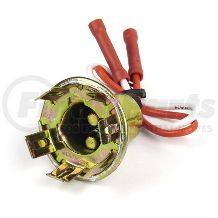 84-1067 by GROTE - Stop/Tail/Park/Signal Socket, Pk 1