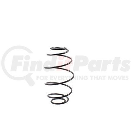 RS6 by HALDEX - Air Brake Spring Brake Return Spring - For Anchorlok and DDSB except 3636 and Midland and current T-30 & G(L)C 3030 2.5" Models