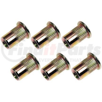 963-254D by DORMAN - Rivet Nut - M6