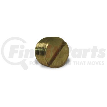 Velvac 17102 Pipe Fitting Pipe Fitting, Slotted Plug, Brass, 1/4"