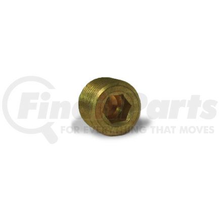 Velvac 17107 Pipe Fitting Pipe Fitting, Counter Sunk Plug, Brass, 1/4"