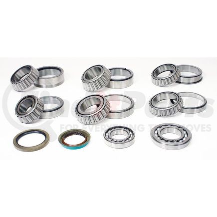 SKF SDK206 Axle Differential Bearing and Seal Kit SKF SDK206 Differential Rebuild Kit
