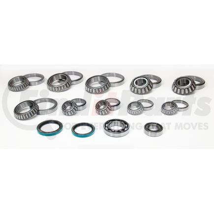 SKF SDK900-FA Axle Differential Bearing and Seal Kit SKF SDK900-FA Differential Rebuild Kit