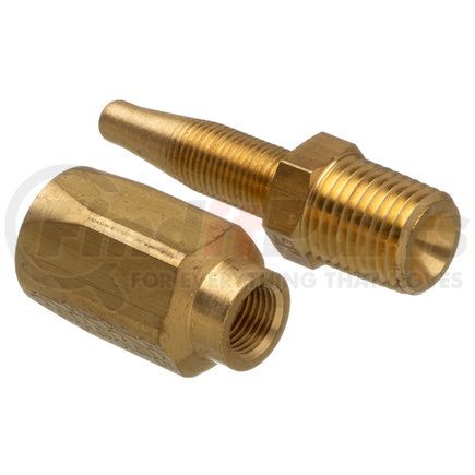 G34100-1008B by GATES - Male Pipe (NPTF - 30 Cone Seat) - Brass (C5CXH, C5C, C5D and C5M Hose)