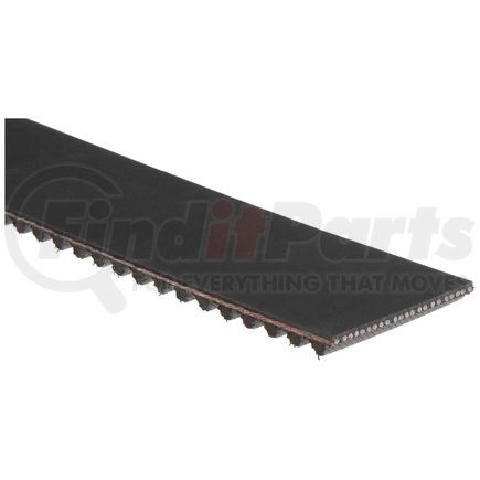 Gates T1040 TIMING BELT
