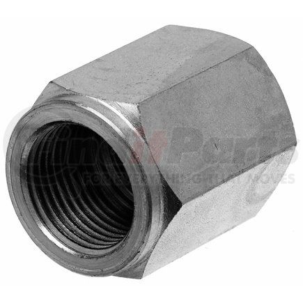 G62520-0808 by GATES - Hyd Coupling/Adapter- Female British Standard Pipe Parallel to Female Pipe NPTF