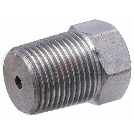 G64098-0016 by GATES - Male British Standard Pipe Tapered Thread Plug (International to International)