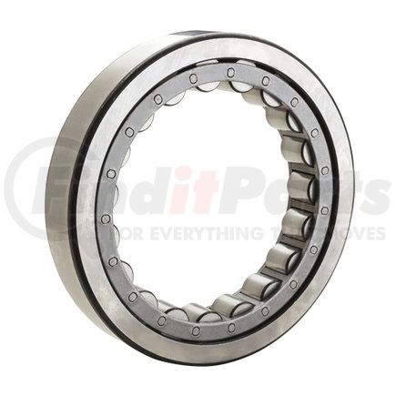 M1013EAL by NTN - Cylindrical Roller Bearing, M1000 Series, 65mm ID, 100mm OD, 18mm Width, Outer Ring with 2 Ribs