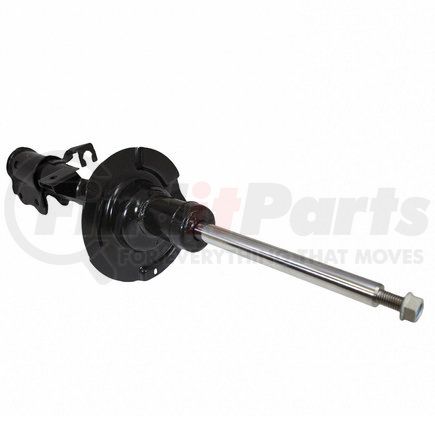 ASH404 by MOTORCRAFT - Shock absorber Right Front