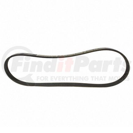 JK4-331 by MOTORCRAFT - V-BELT