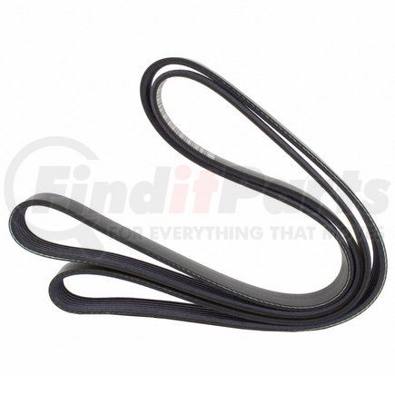 JK6-695 by MOTORCRAFT - V-BELT