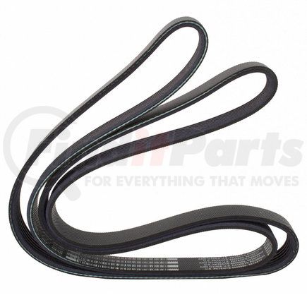 JK6648 by MOTORCRAFT - V-BELT