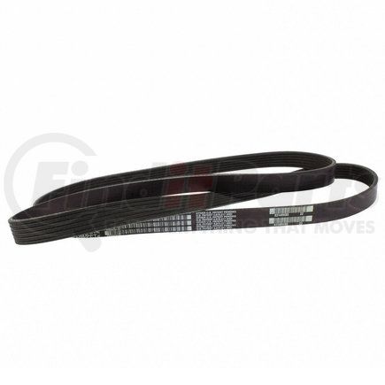 JK6682 by MOTORCRAFT - V-BELT