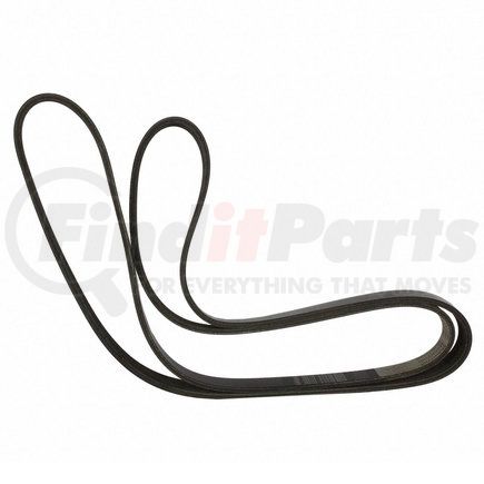 JK6687CD by MOTORCRAFT - V-BELT