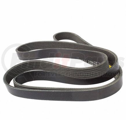 JK6823C by MOTORCRAFT - V-BELT