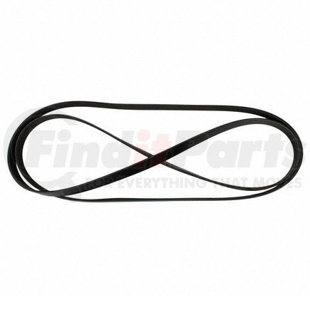 JK61013AD by MOTORCRAFT - V-BELT