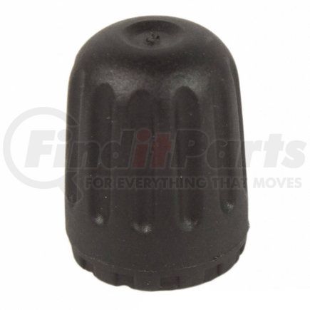 TPMS34 by MOTORCRAFT - CAP - VALVE