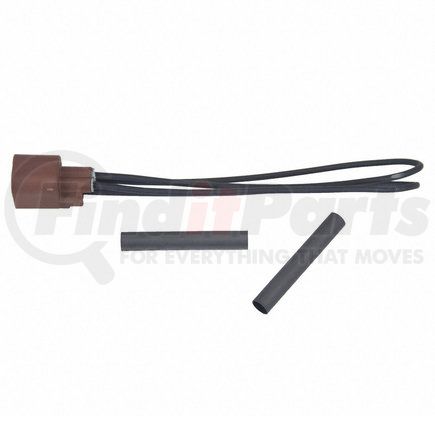 WPT1231 by MOTORCRAFT - WIRE ASSY