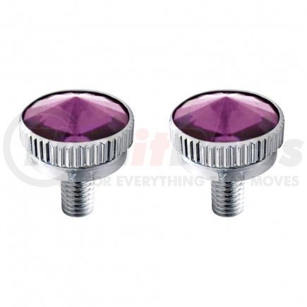 21769 by UNITED PACIFIC - Decorative Body Accessory - C.B. Mounting Bolt, 6mm, with Purple Diamond
