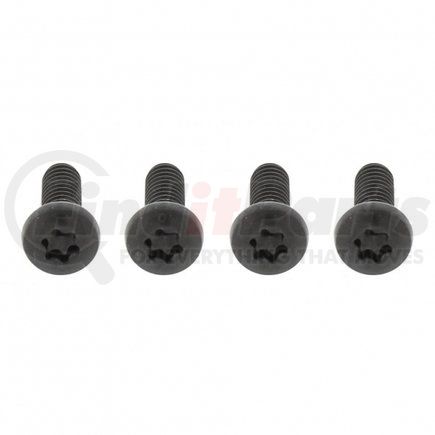 21034 by UNITED PACIFIC - Grille Screw Set - Black, for 2005 and Older Freightliner Century