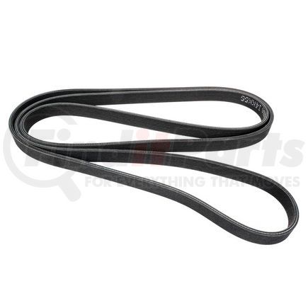 D4081403 by CONTINENTAL AG - Automotive Dual-Sided Multi-V Belt