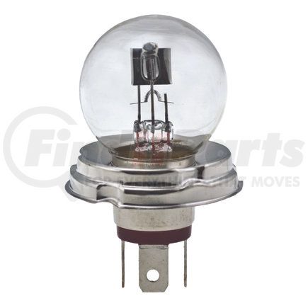 7952 by HELLA - HELLA 7952 Standard Series Incandescent Miniature Light Bulb, Single