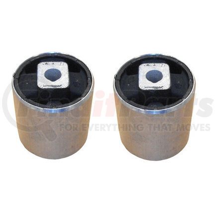 AVB0060R by REIN - BUSHING KIT