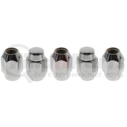 Raybestos 10056N Wheel Lug Nut WHEEL LUG NUT