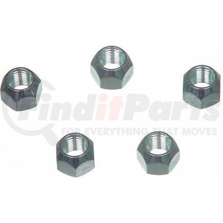 BD61281 by WAGNER - Wagner Brake BD61281 Wheel Lug Nut