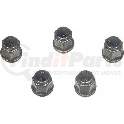 BD61304 by WAGNER - Wheel Nut