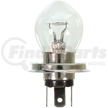 6260SA by WAGNER - Wagner Lighting 6260SA Standard Multi-Purpose Light Bulb Box of 10