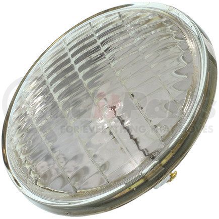 4589 by WAGNER - Wagner Lighting 4589 Standard Multi-Purpose Light Bulb Box of 1