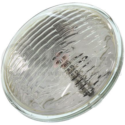 4752 by WAGNER - Wagner Lighting 4752 Standard Multi-Purpose Light Bulb Box of 1